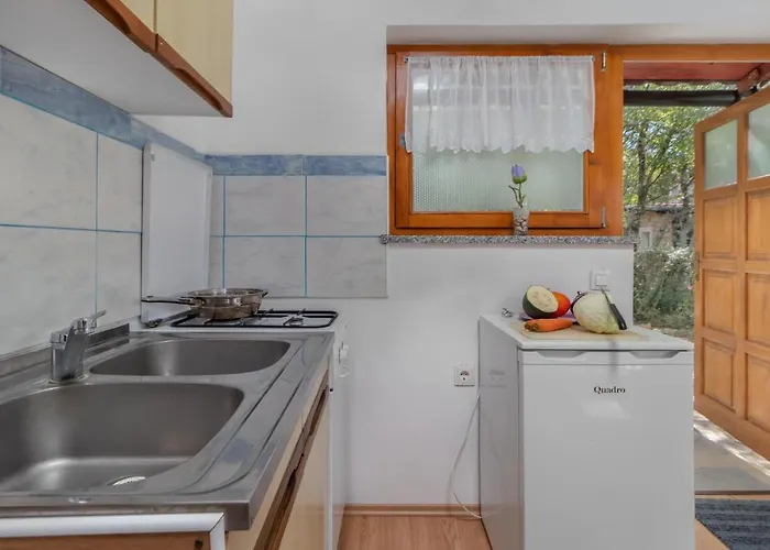 Apartment Pet Friendly In With Wifi